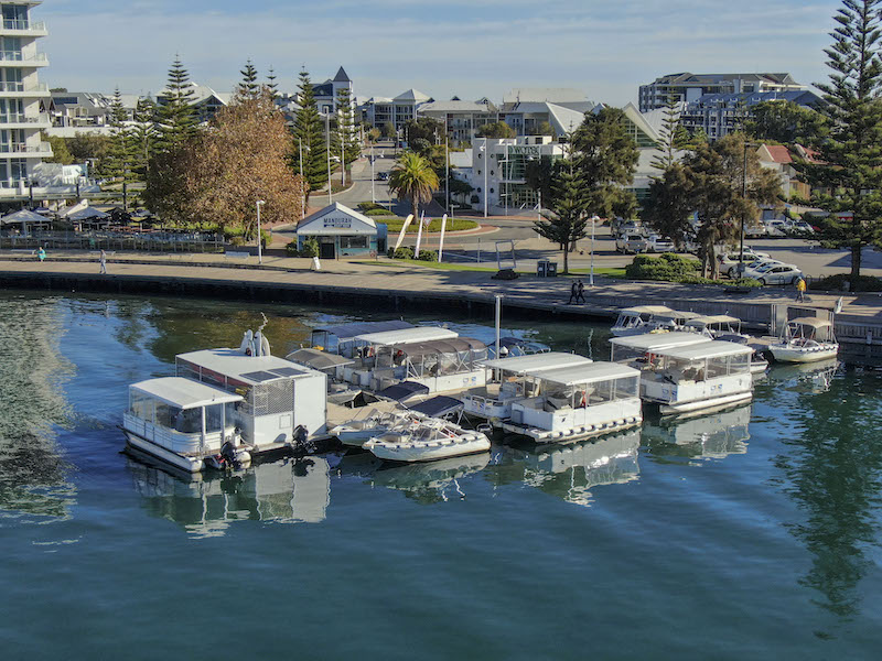 Aerial photo of the fleet